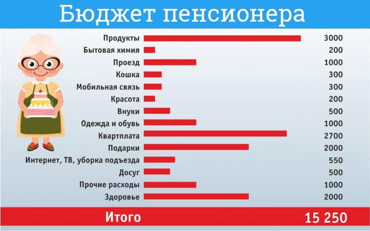 Бюджет российского пенсионера